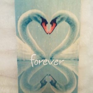 Deco-bordje: Zwanen - Forever