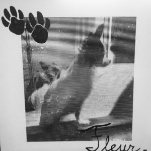 Herinnering - Hond (Memories)