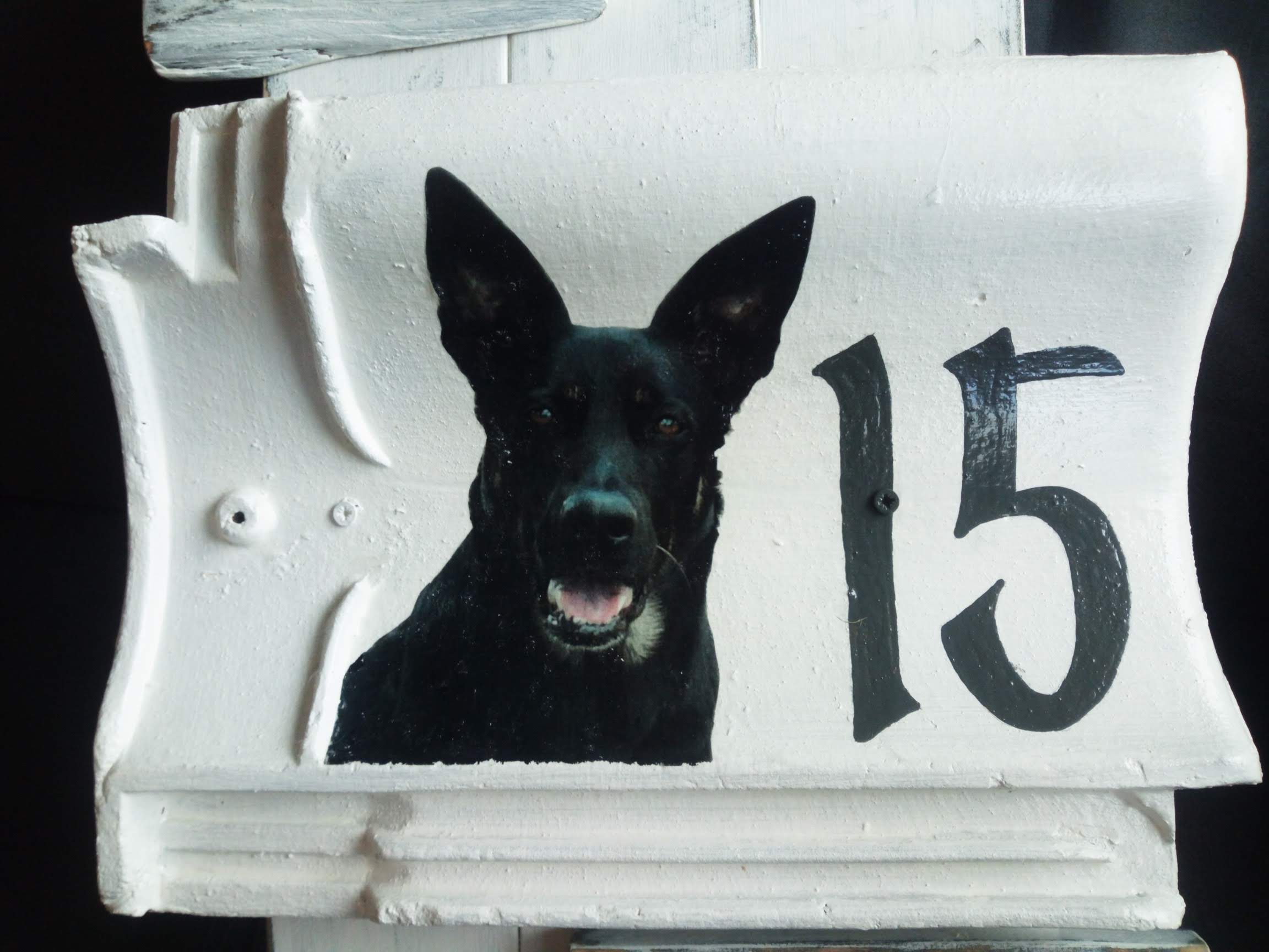 Huisnummerbord 15 - dakpan - hout met foto en tekst