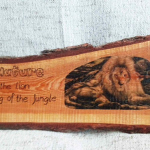 Nature - Lion King of the Jungle