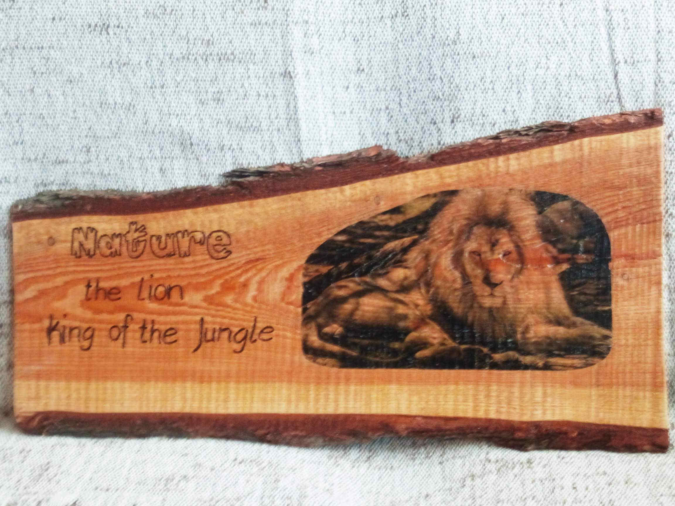 Nature - Lion King of the Jungle
