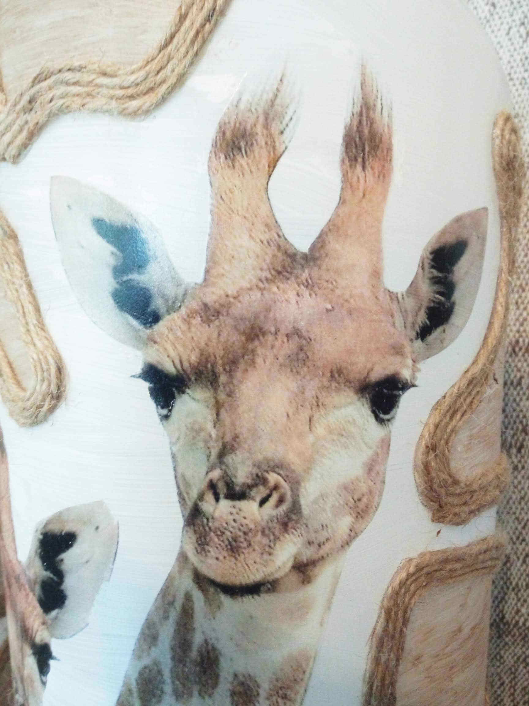 Nature - Vaas met giraffe