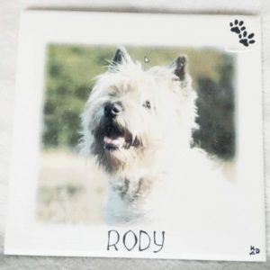 Foto van Rody op MDF met naam hartje en hondenpootje erop geschilderd