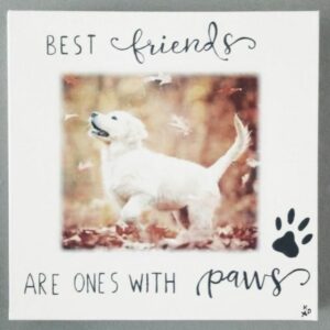 Hond: "Golden Retriever" op canvas