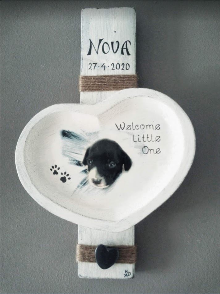 Geboorte bordje voor puppy "Nova" voorzien van foto, naam en datum, gemaakt van pallethout.
