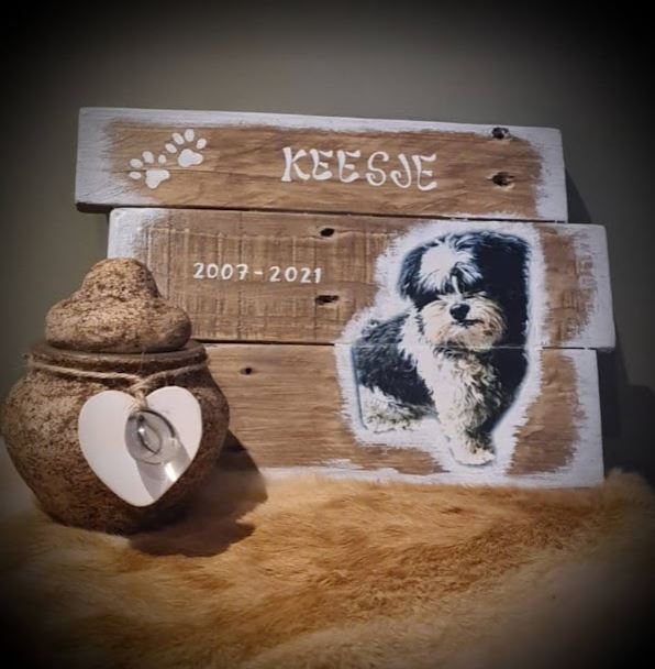 Memories - Hond - Keesje