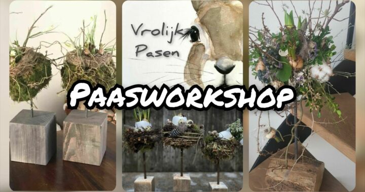 Workshop - Paas special