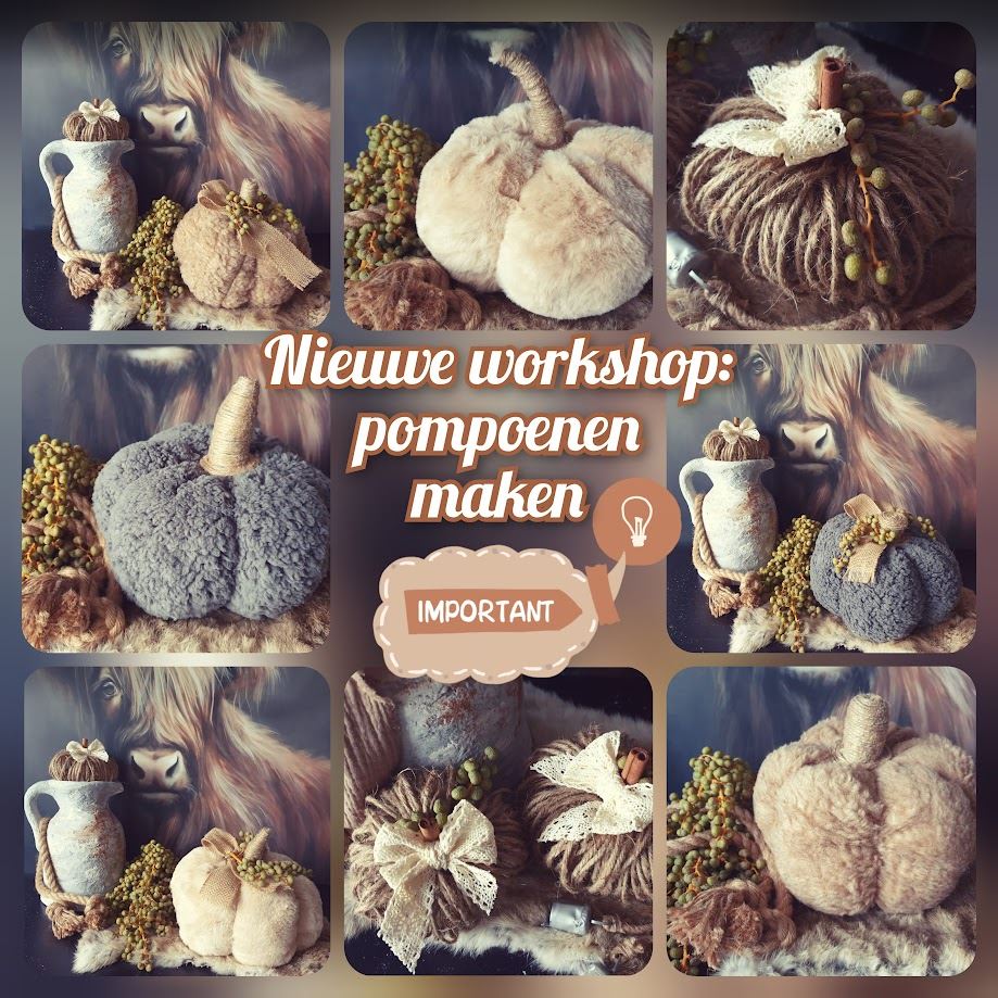 Workshop - Pompoen